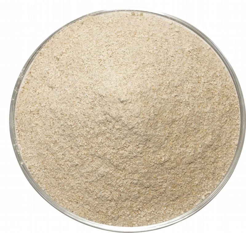 breeding sheep nutrition
